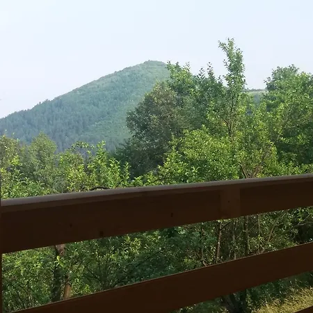 In Nature * Visoko