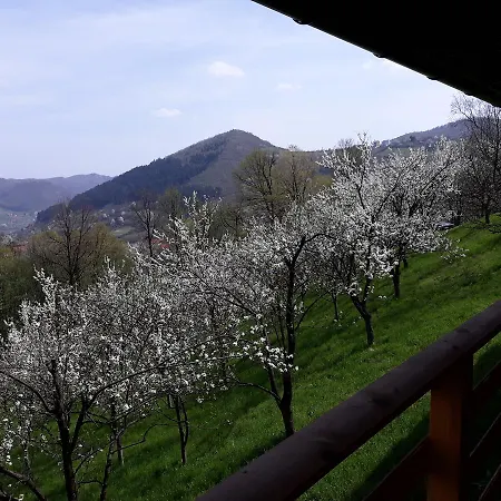 In Nature * Visoko